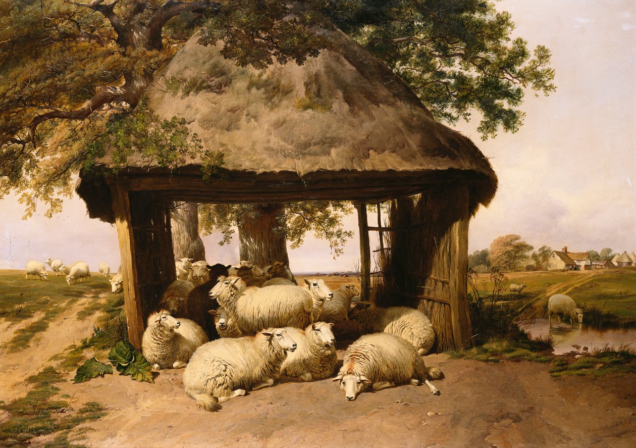 Owce odpoczywające pod schronieniem autorstwa Thomas Sidney Cooper