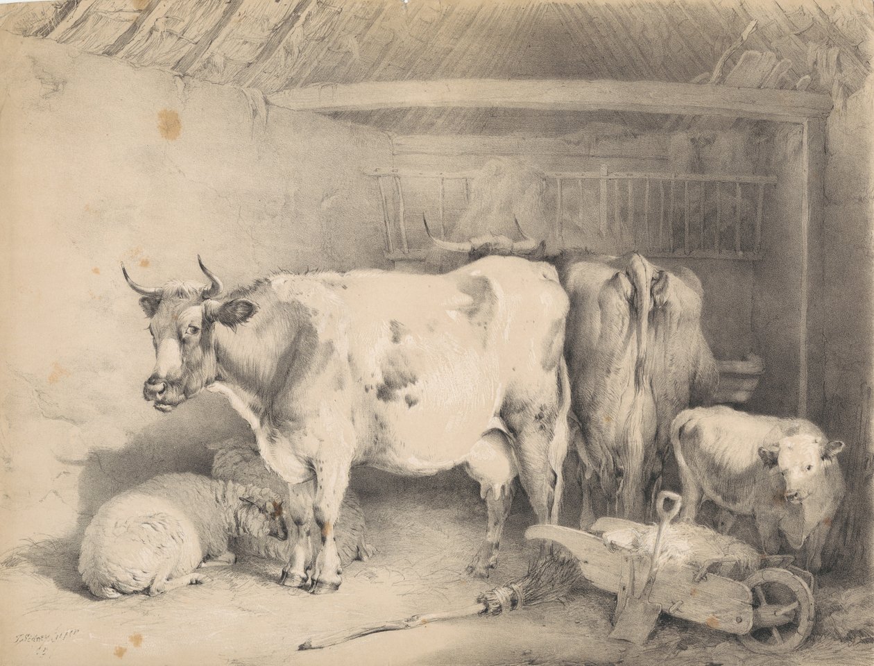Owce i bydło w stodole autorstwa Thomas Sidney Cooper