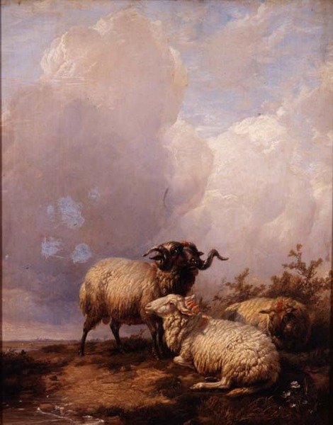Owce w krajobrazie autorstwa Thomas Sidney Cooper