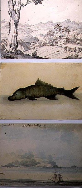 Trzy ilustracje z „Wspomnienia żołnierza Indii Zachodnich i Ameryki”, wyd. autorstwa Richarda Bentleya autorstwa Thomas Staunton St. Clair