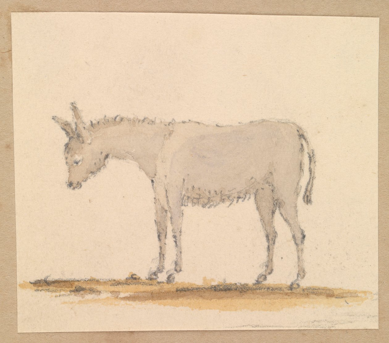 Studium osła, ok. 1820 (pióro i tusz, pranie, akwarela) autorstwa Thomas Streatfeild
