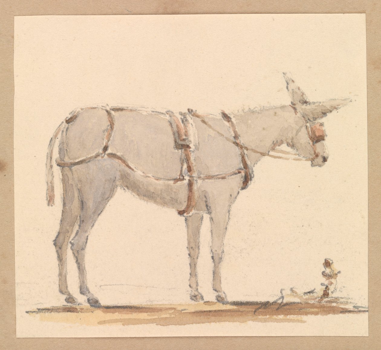 Studium osła z uzdą i uprzężą, ok. 1820 (ołówek z brązowym i szarym praniem na papierze) autorstwa Thomas Streatfeild