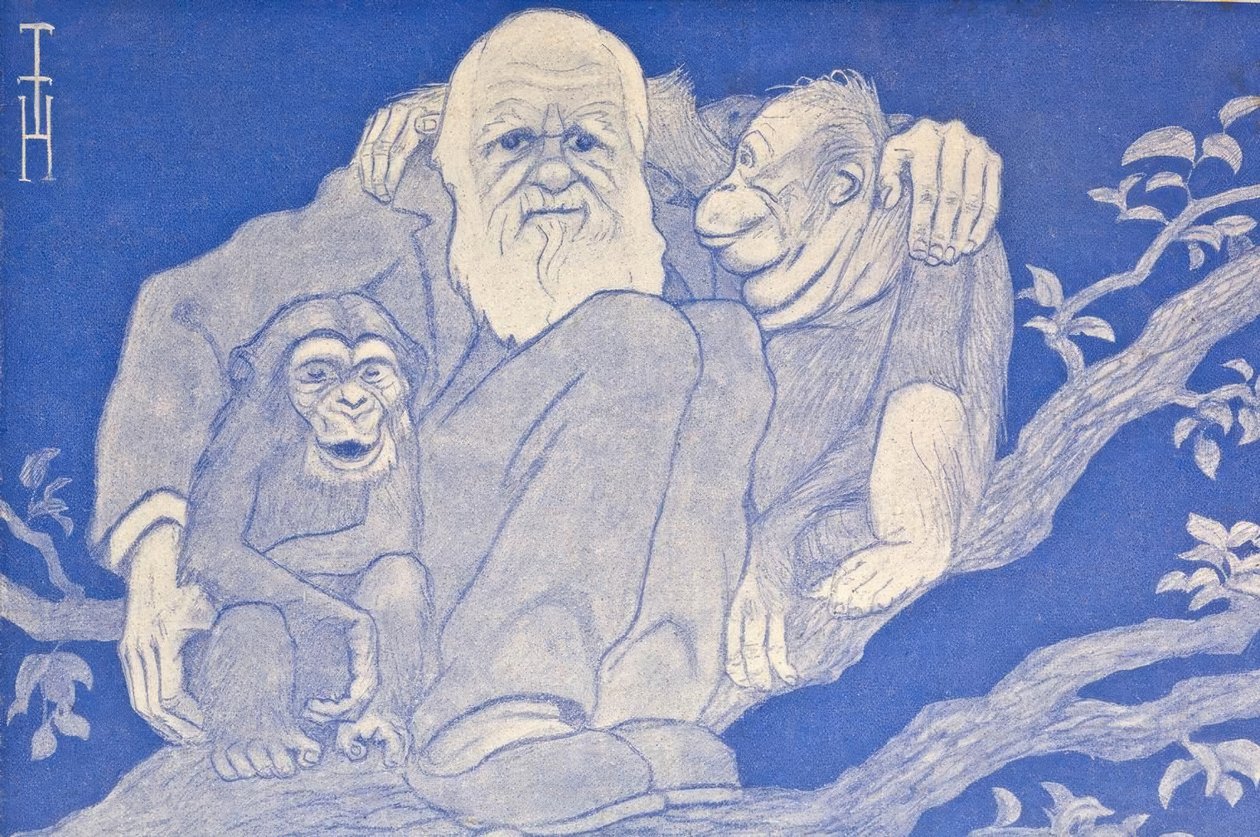 Kreskówka z 1909 roku Darwin z małpim detalem autorstwa Thomas Theodor Heine