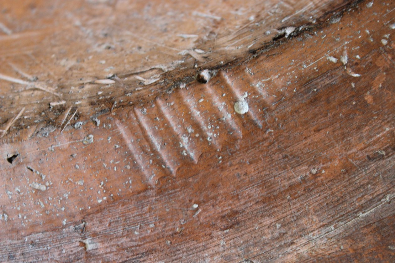 Fragment rewersu naczynia Adama i Ewy, North Staffordshire autorstwa Thomas Toft