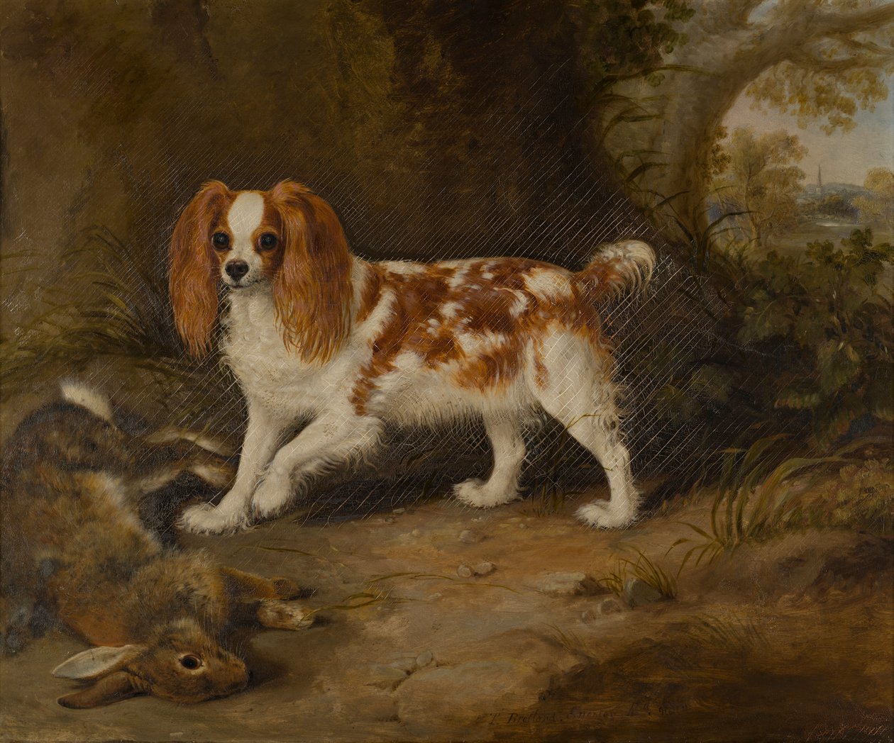 Spaniel z martwym zającem, ok. 1822-74 (olej na płótnie) autorstwa Thomas W. Bretland