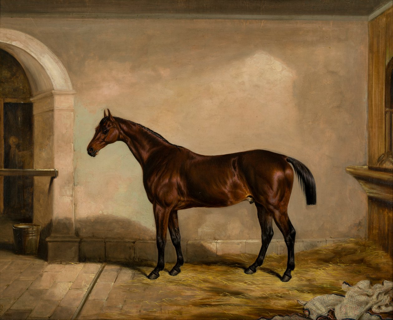 Miś Glazurnik: Koń, ok. 1842 (olej na płótnie) autorstwa Thomas W. Bretland