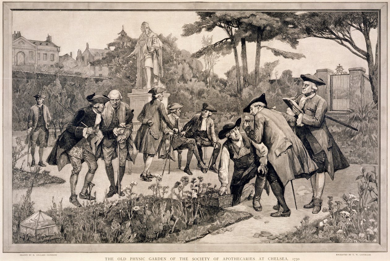 „Stary ogród fizyczny Towarzystwa Aptekarskiego w Chelsea, 1750”, 1890 autorstwa Thomas W Lascelles
