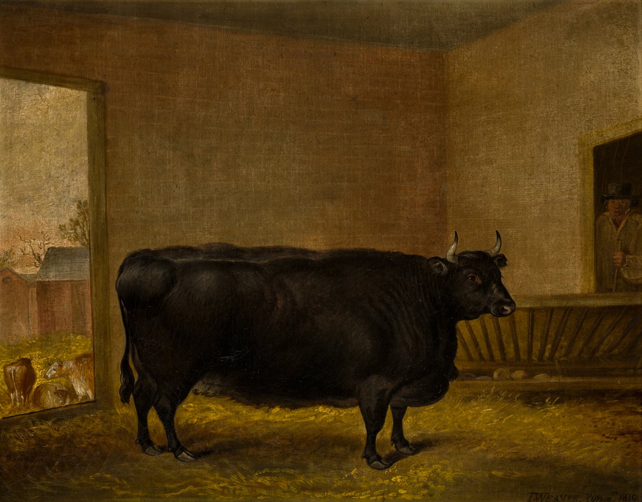 Byk nagrodowy: Gruba krowa Kerry, ok.1819 (olej na płótnie) autorstwa Thomas Weaver