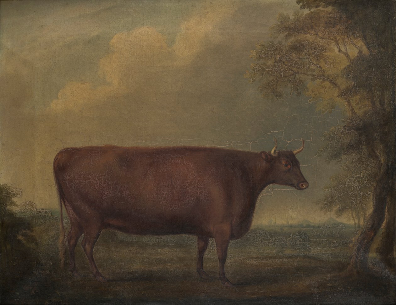 Czerwone jałówki devon w pejzażu, ok. 1812 (olej na płótnie) autorstwa Thomas Weaver