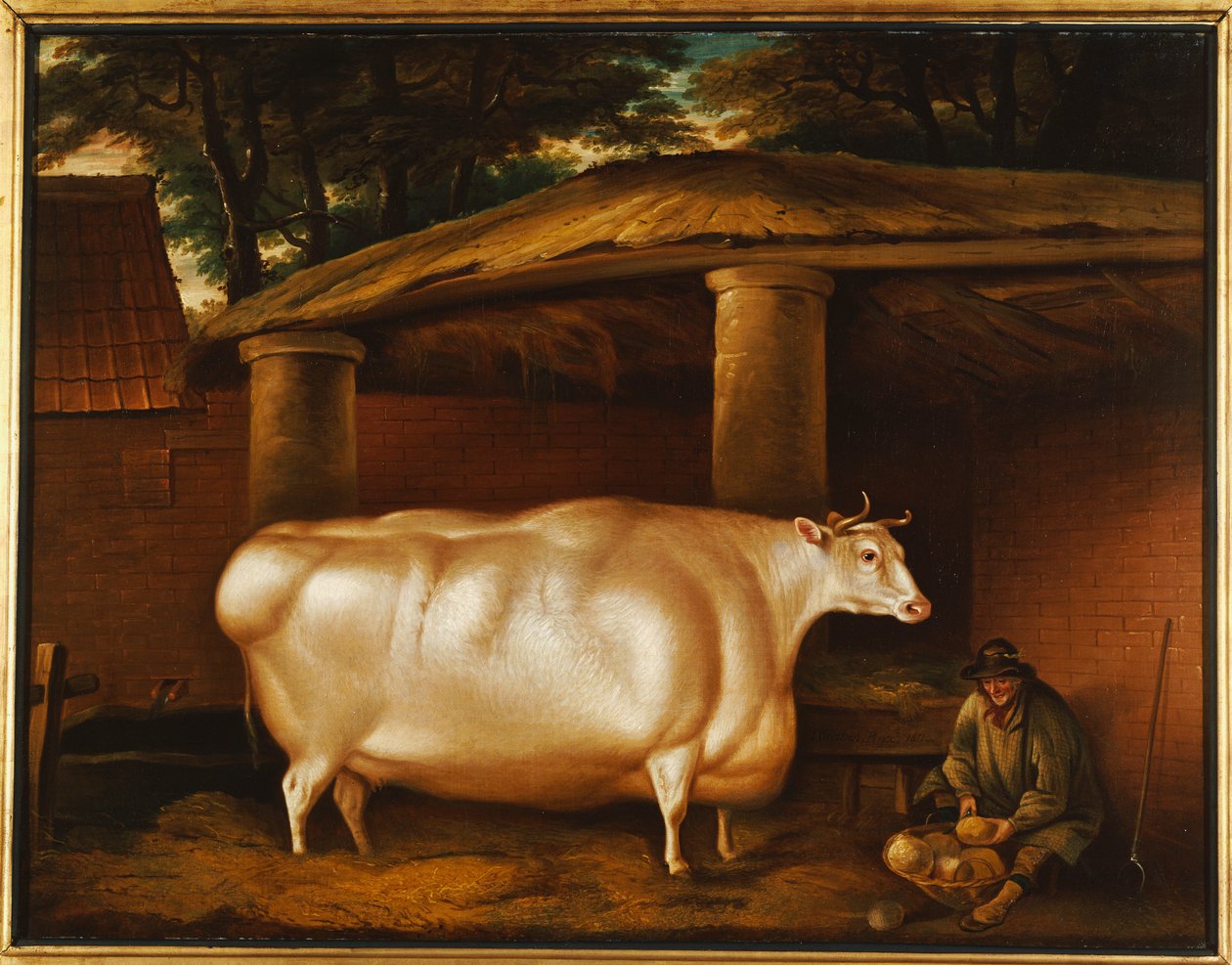 Biała jałówka, która podróżowała, z mężczyzną krojącym rzepę na stajni, 1811 autorstwa Thomas Weaver