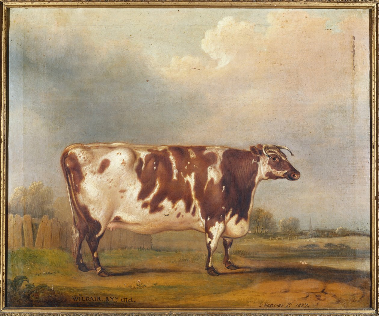 Wildair, ośmioletnia jałówka w krajobrazie rzecznym, 1827 autorstwa Thomas Weaver