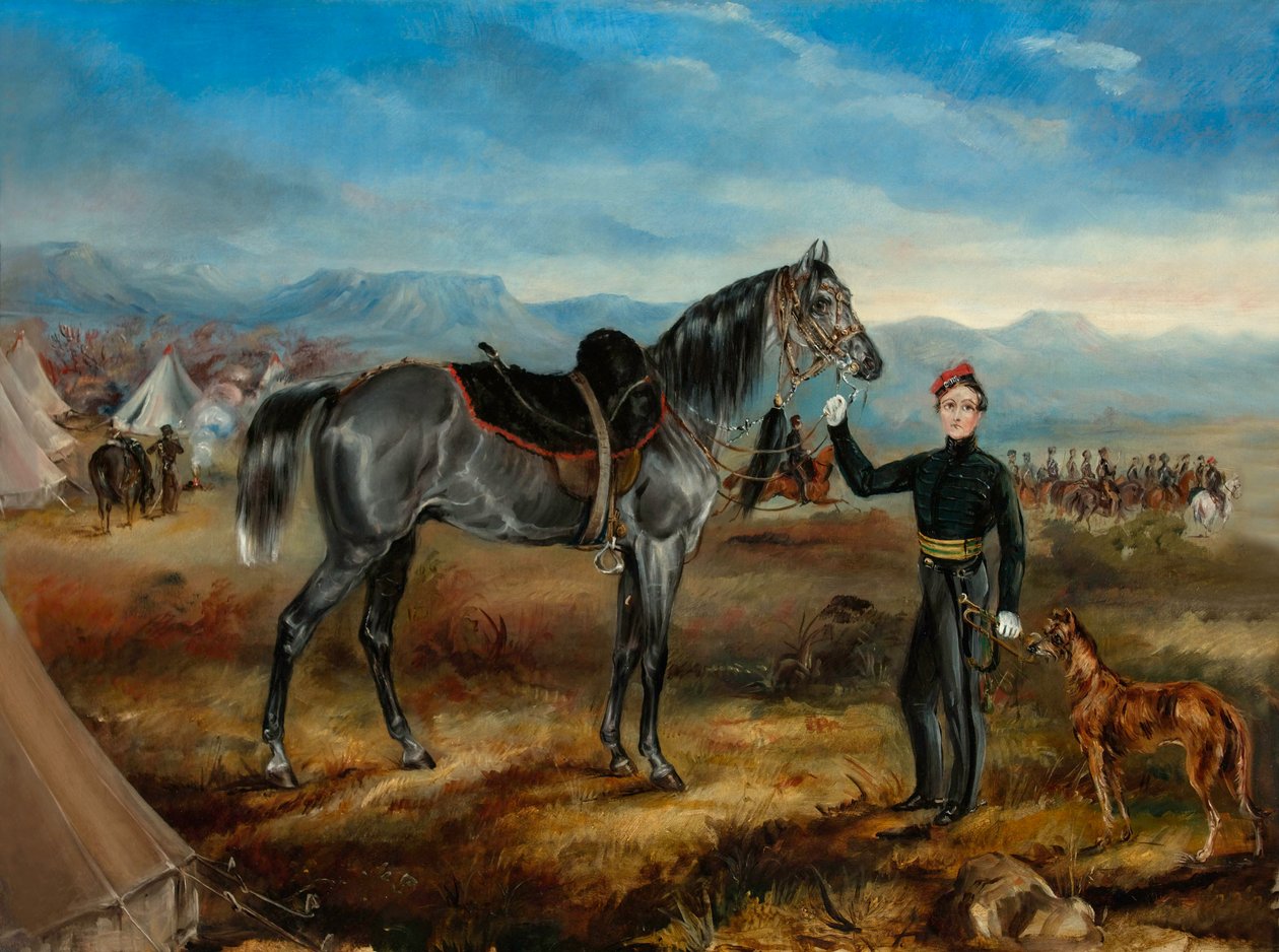 Charley, koń kapitana T W Goodricha, strzelców konnych przylądka autorstwa Thomas White Goodrich