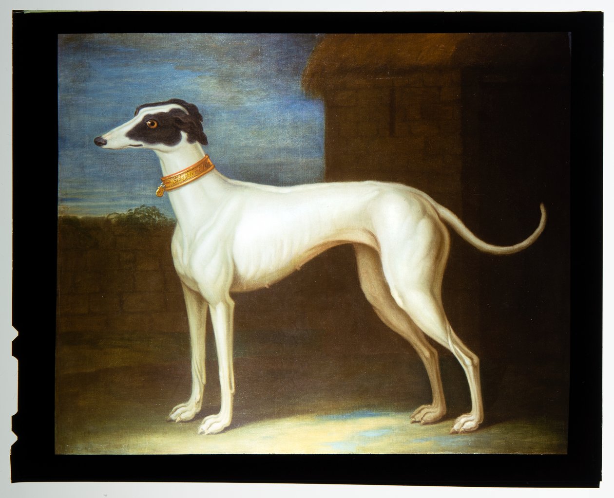 Ulubiony chart autorstwa Thomas of Pall Mall Butler