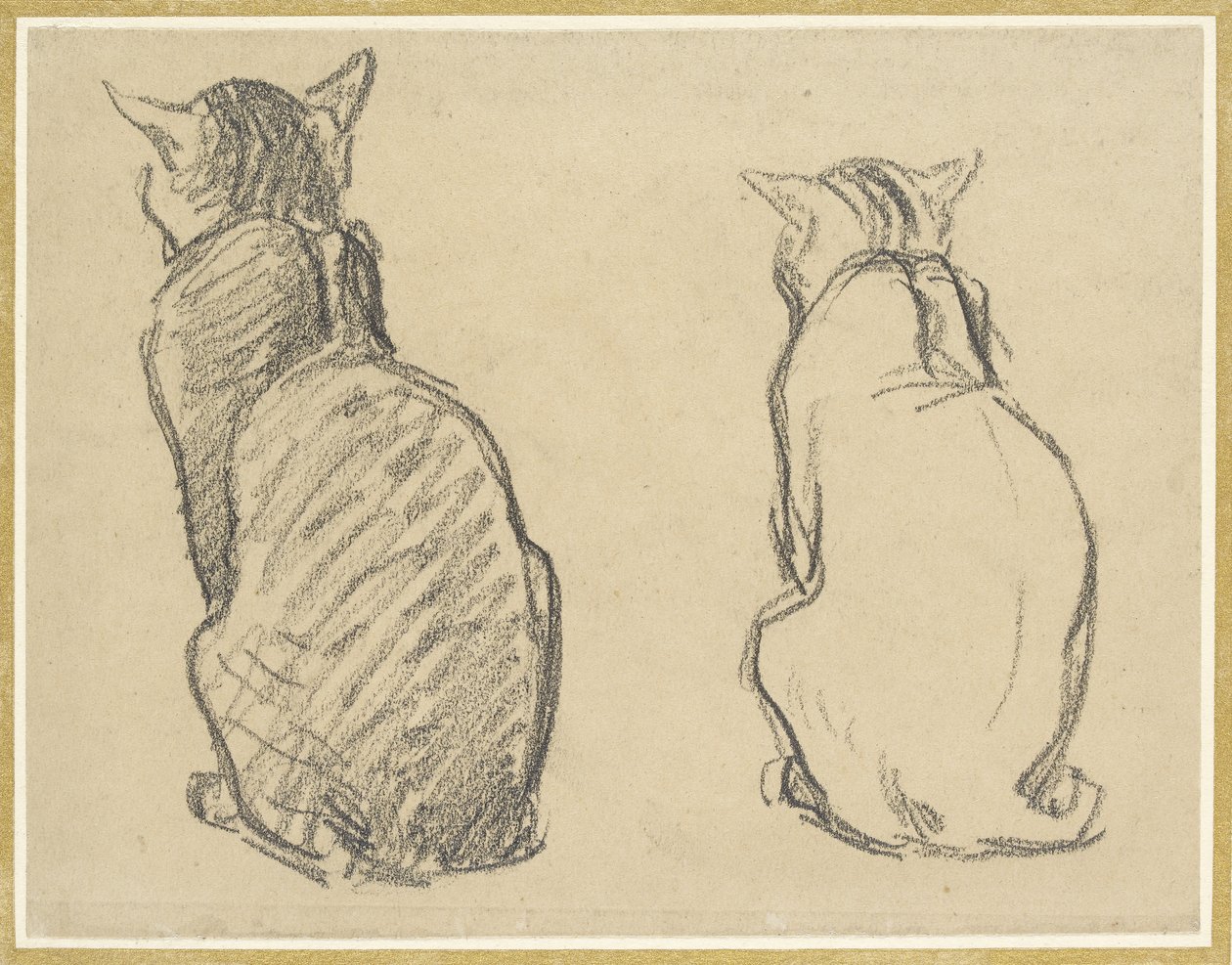 Dwa studia kota (grafit na przebarwionym papierze) autorstwa Théophile Alexandre Steinlen