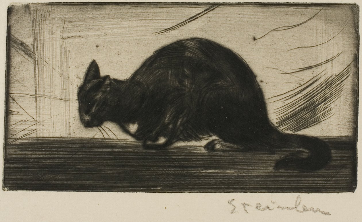 Kot wyginający grzbiet autorstwa Théophile Alexandre Pierre Steinlen