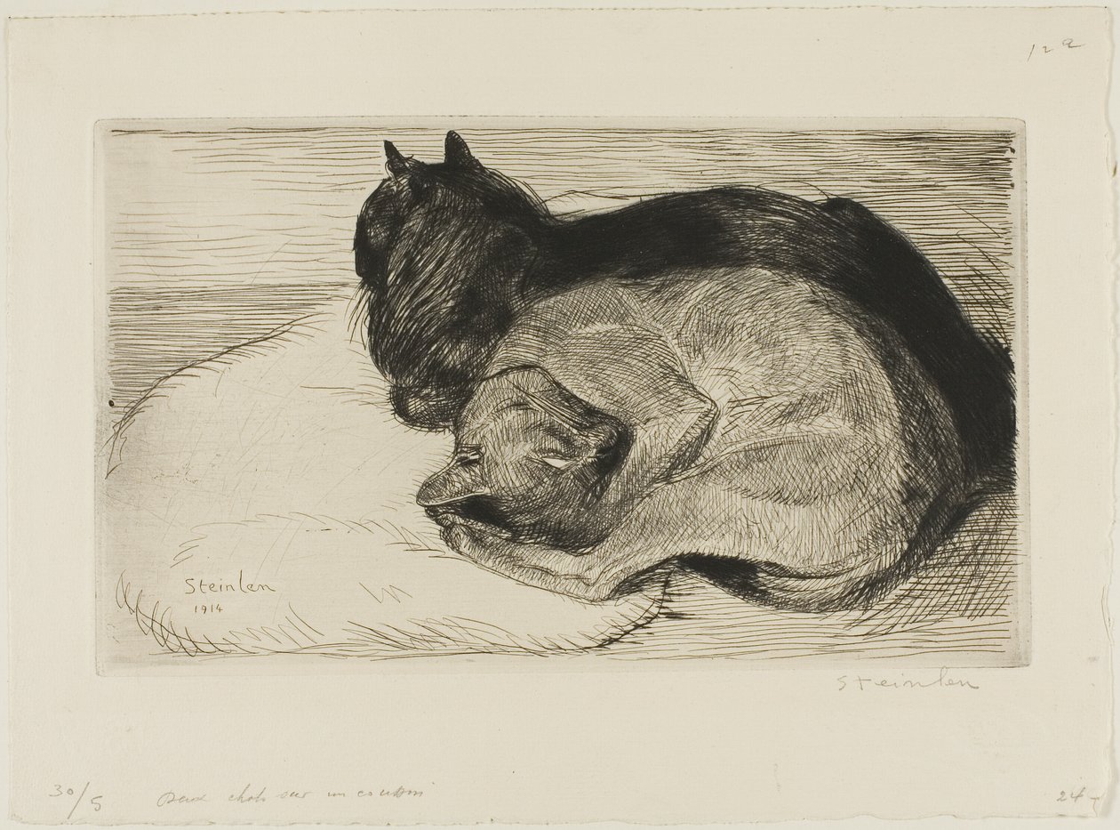 Dwa koty na poduszce autorstwa Théophile Alexandre Pierre Steinlen