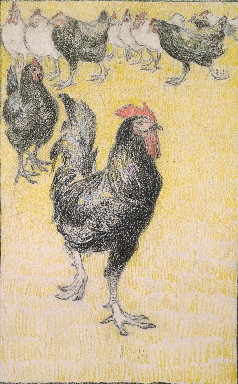 Kogucik, a następnie czarno-białe kury, 1899 autorstwa Théophile Alexandre Steinlen