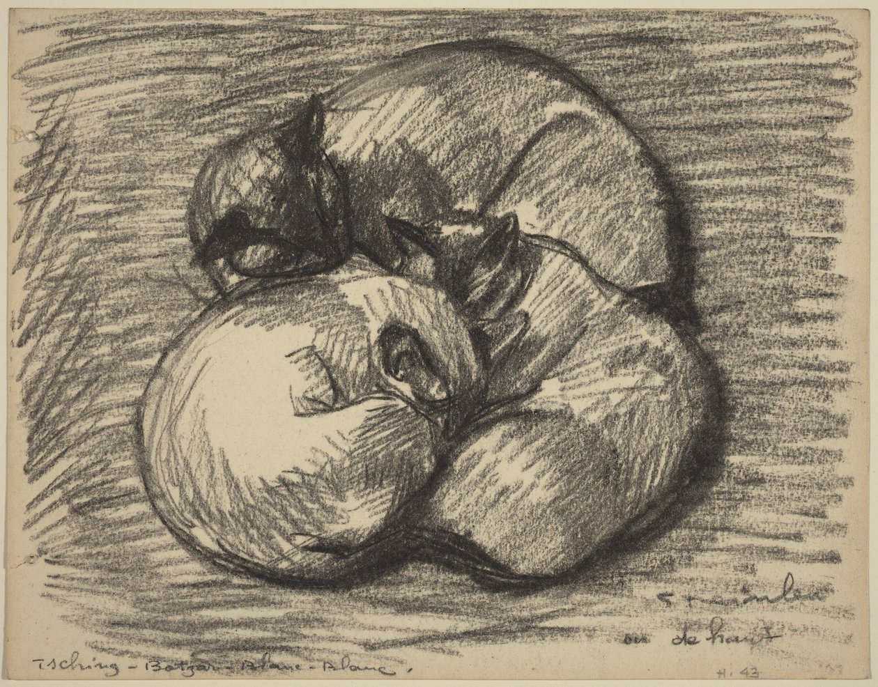 Koty: Tsching, Batzar i Blanc-Blanc autorstwa Théophile Alexandre Steinlen