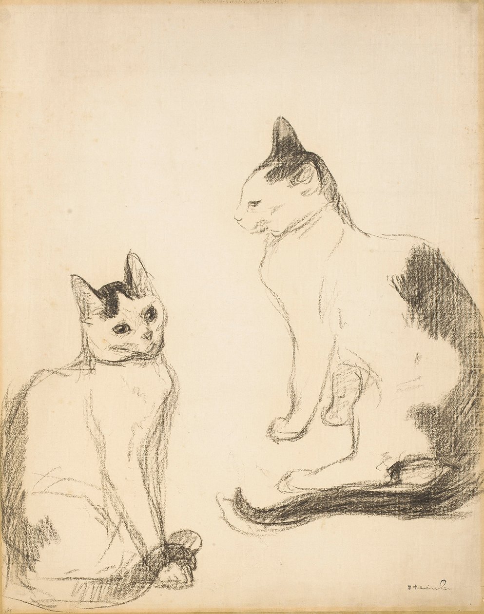 Dwa koty; Dwa koty autorstwa Théophile Alexandre Steinlen
