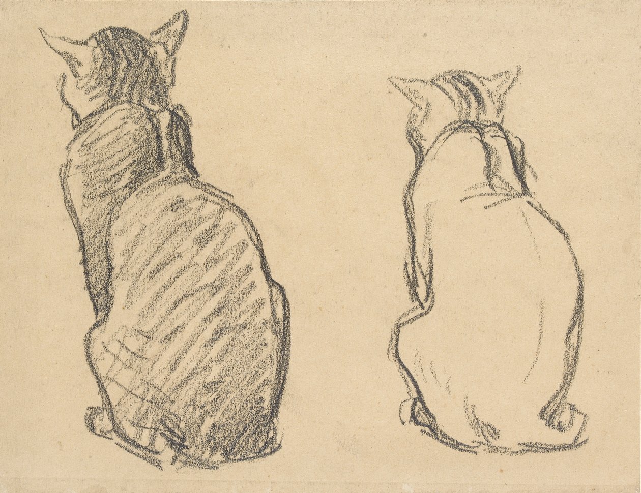 Dwa badania kota, początek XX wieku autorstwa Théophile Alexandre Steinlen