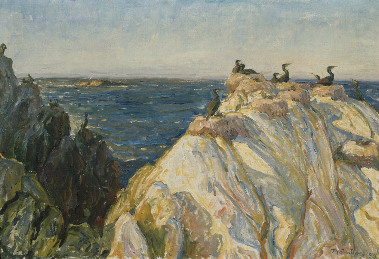 Ptak morski autorstwa Thorolf Holmboe