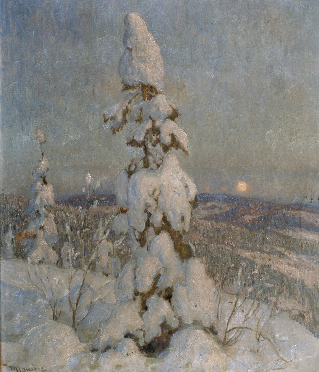 Pokryty śniegiem świerk w świetle księżyca (olej na płótnie) autorstwa Thorolf Holmboe