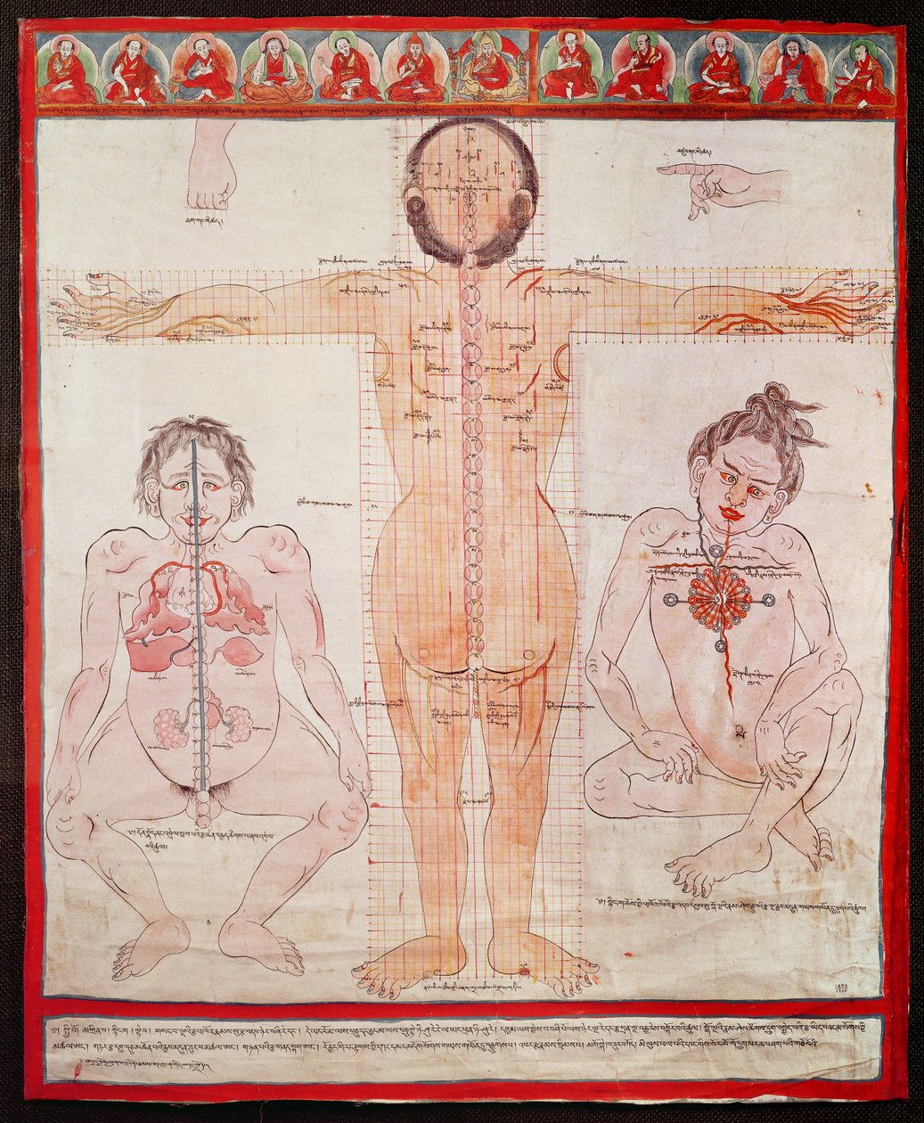 Wykres anatomiczny, 1938 (pióro i akwarela na płótnie ułożonym na płótnie) autorstwa Tibetan School
