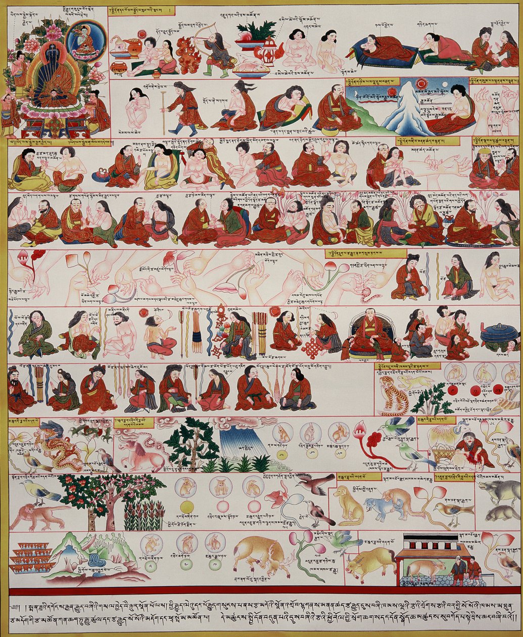 Rękopis o medycynie tybetańskiej autorstwa Tibetan School