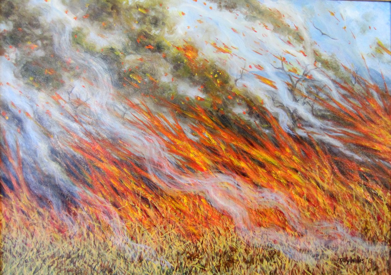 Piekło buszu, 2014, autorstwa Tilly Willis