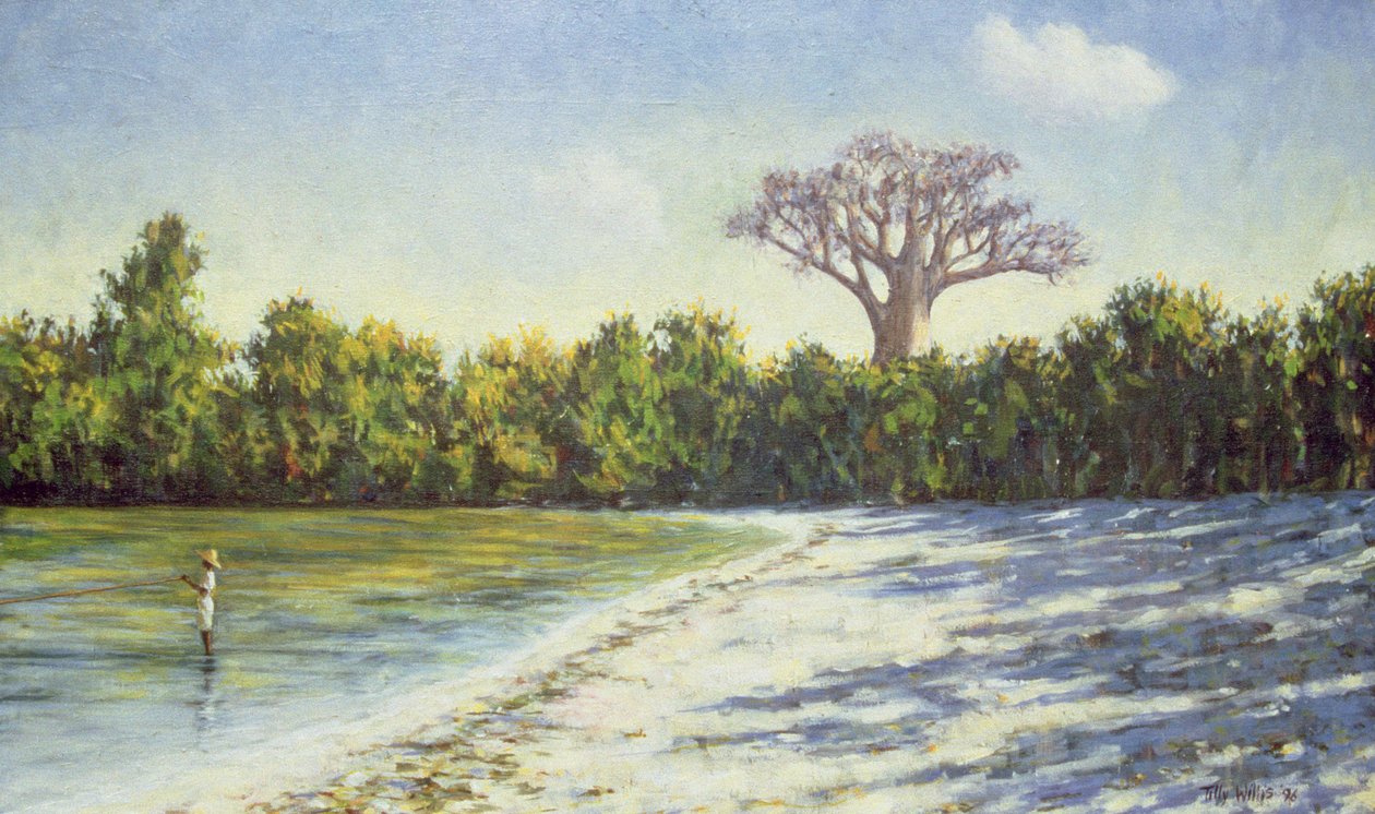 Wędkarstwo w Afryce, 1996 r. autorstwa Tilly Willis