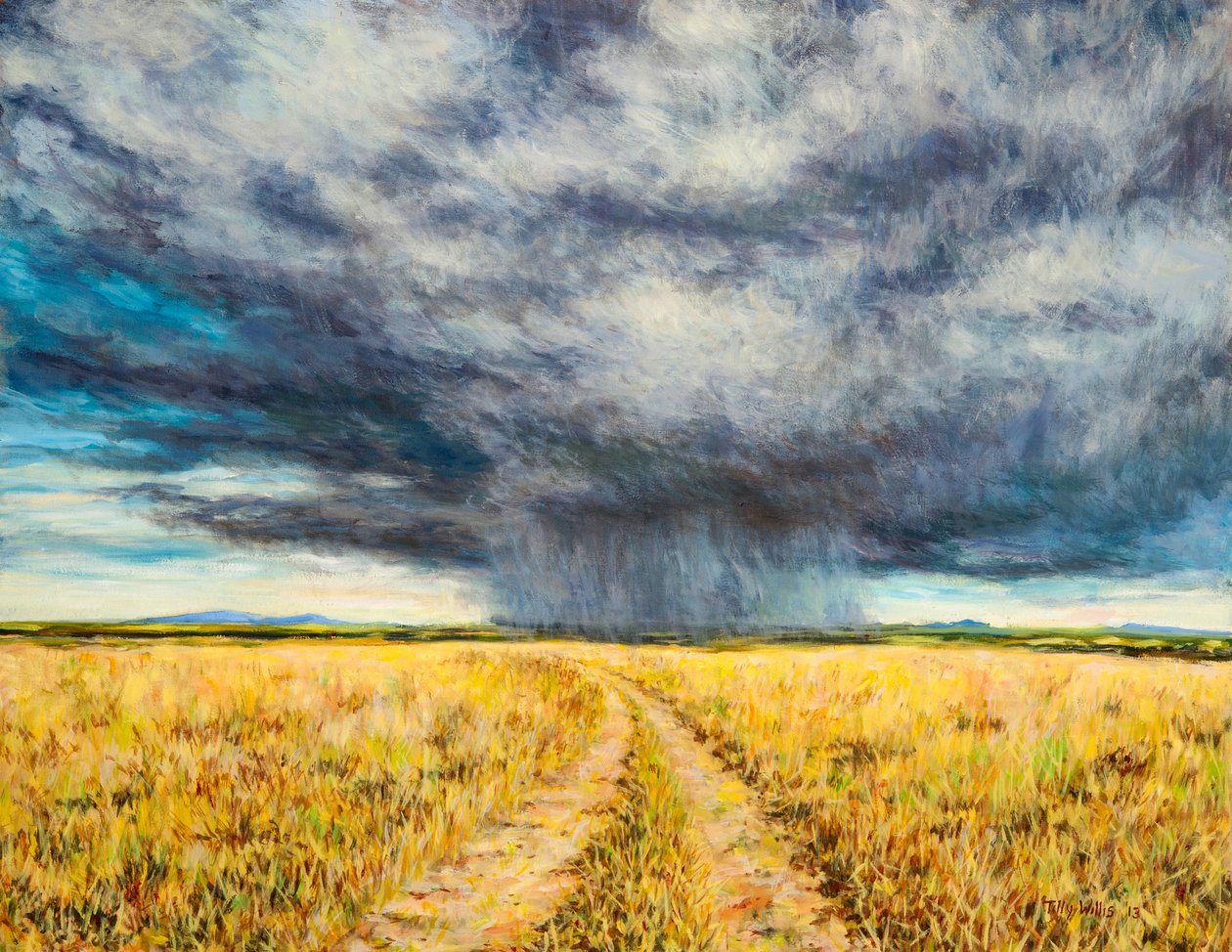 Mara Storm, 2012 autorstwa Tilly Willis