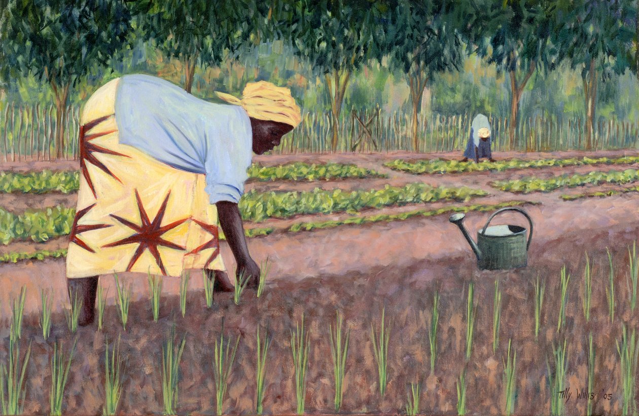Sadzenie cebuli, 2005 autorstwa Tilly Willis