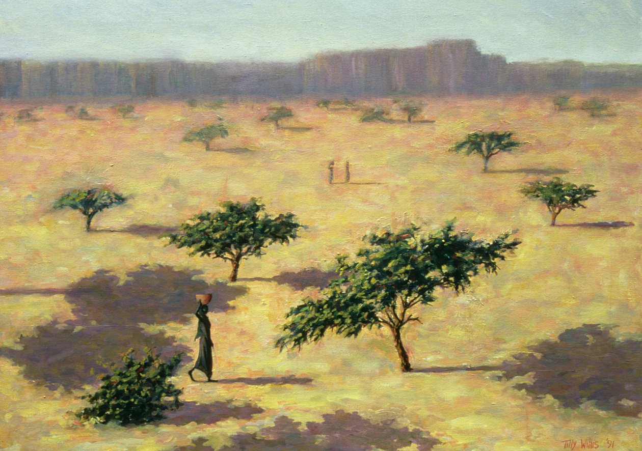 Sahelski krajobraz, Mali, 1991 autorstwa Tilly Willis