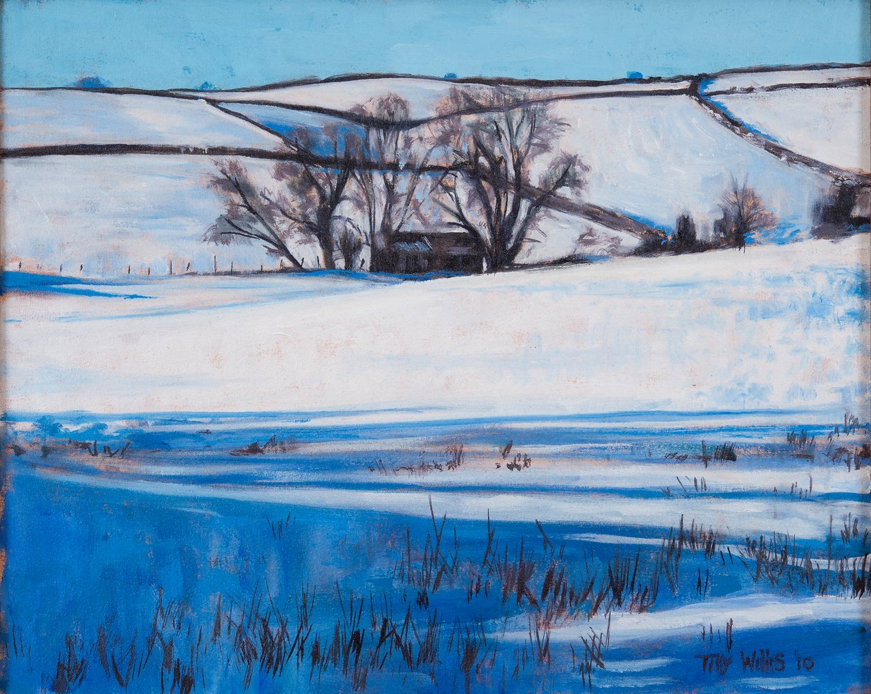 Śnieżne cienie, 2010 autorstwa Tilly Willis