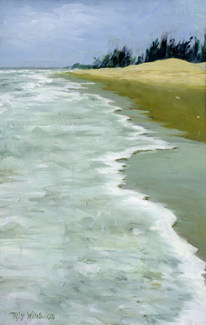 Plaża, 2004 autorstwa Tilly Willis
