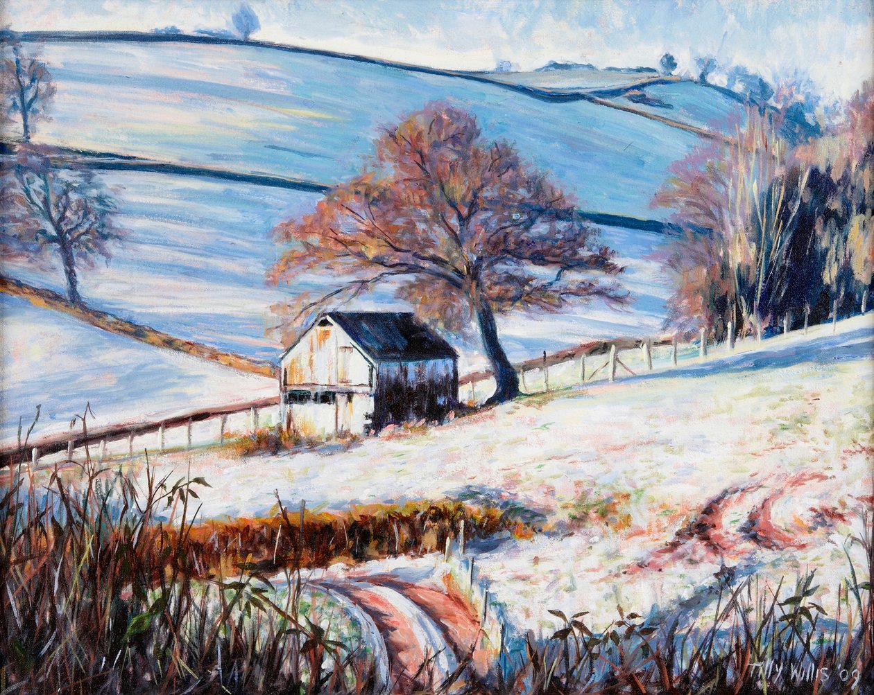 Zimowy mróz, 2009 autorstwa Tilly Willis