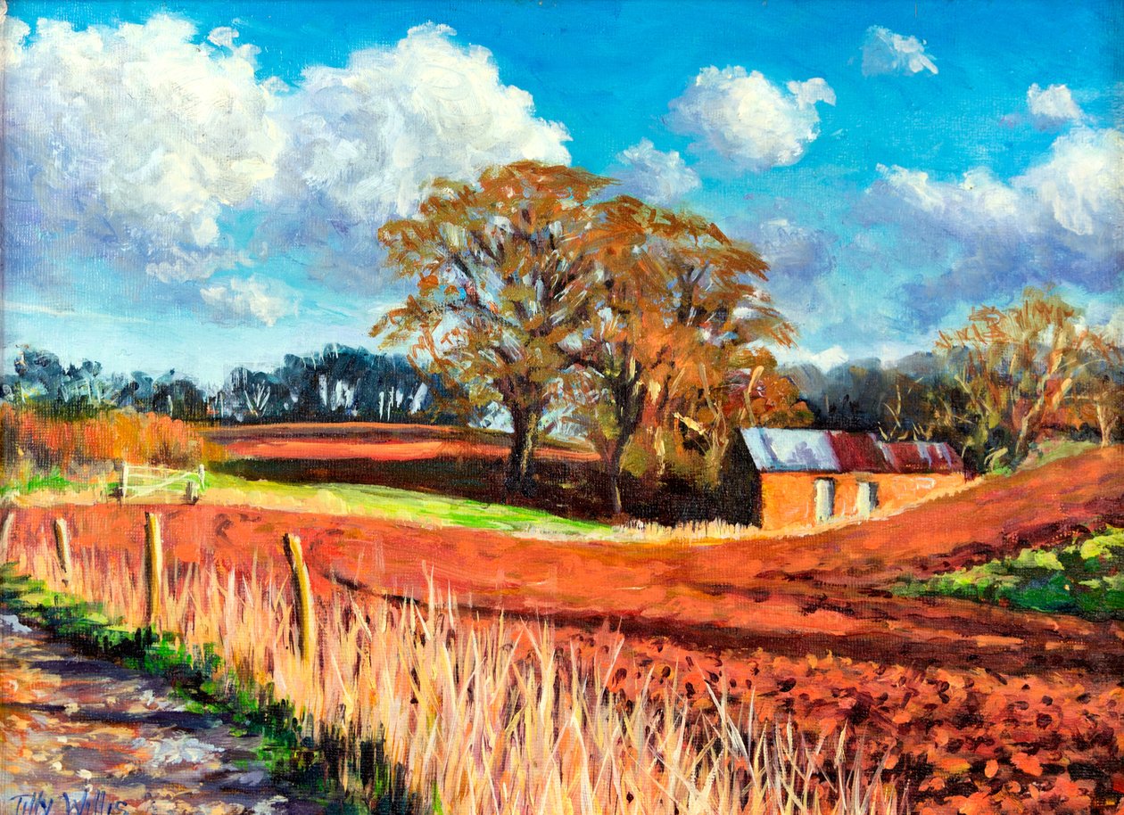 Wiejska Stodoła, 2014, autorstwa Tilly Willis