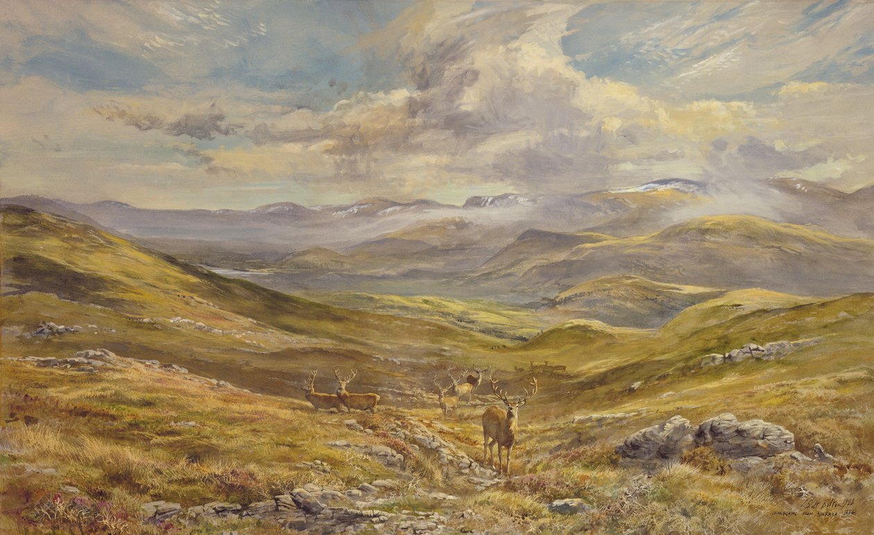 Cairngorms z Kinrary, 1988 (wc) autorstwa Tim Scott Bolton