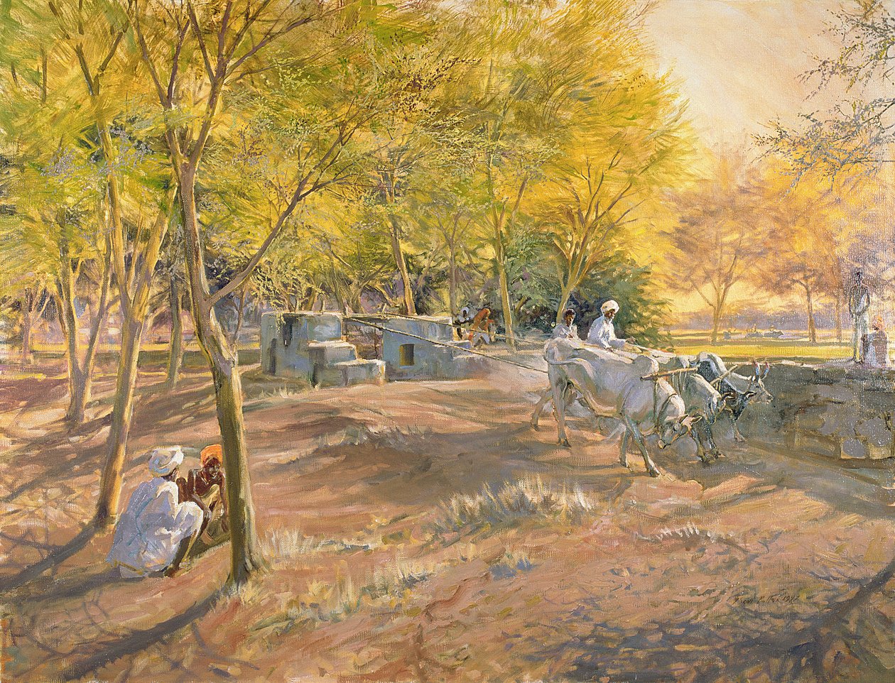 Praca dla wody, Radżastan, 1997 autorstwa Tim Scott Bolton