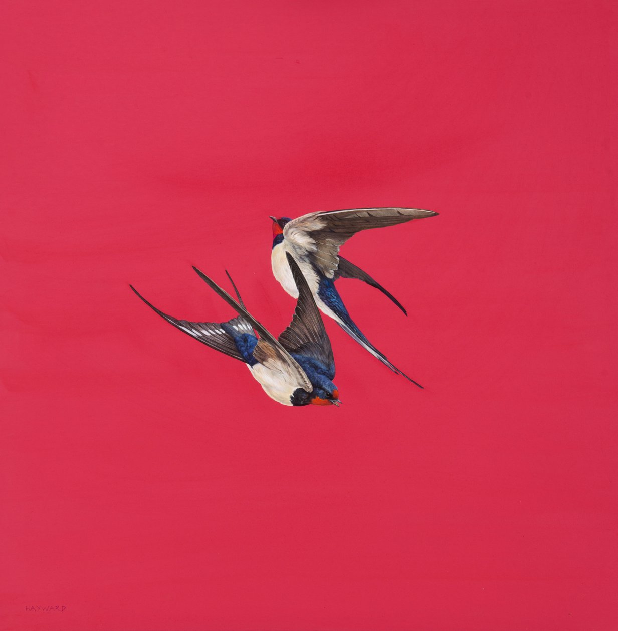 Wir-czerwony, akwarela i gwasz na tablicy akwarelowej, 50,8 x 50,8 cm autorstwa Tim Hayward