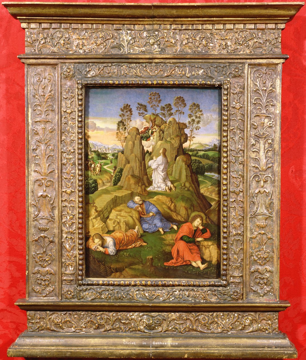 Chrystus w Getsemani, ok. 1510 (olej na desce) autorstwa Timoteo Viti
