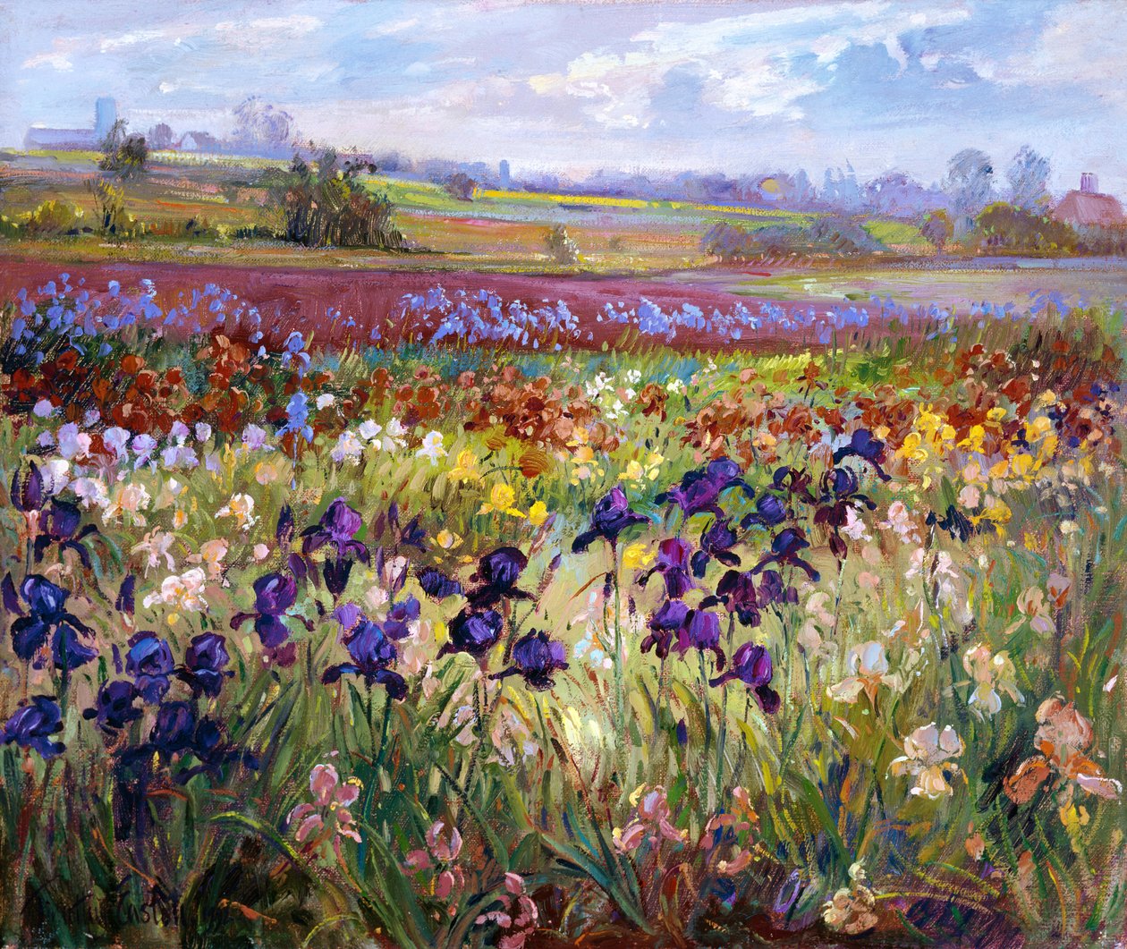 Przez do Burgate autorstwa Timothy Easton