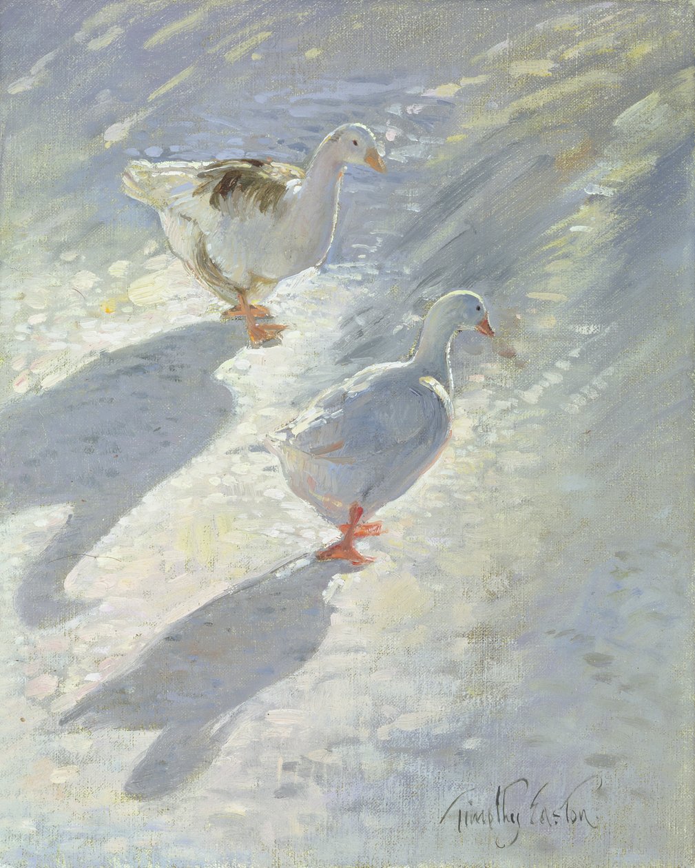 Na zboczu autorstwa Timothy Easton