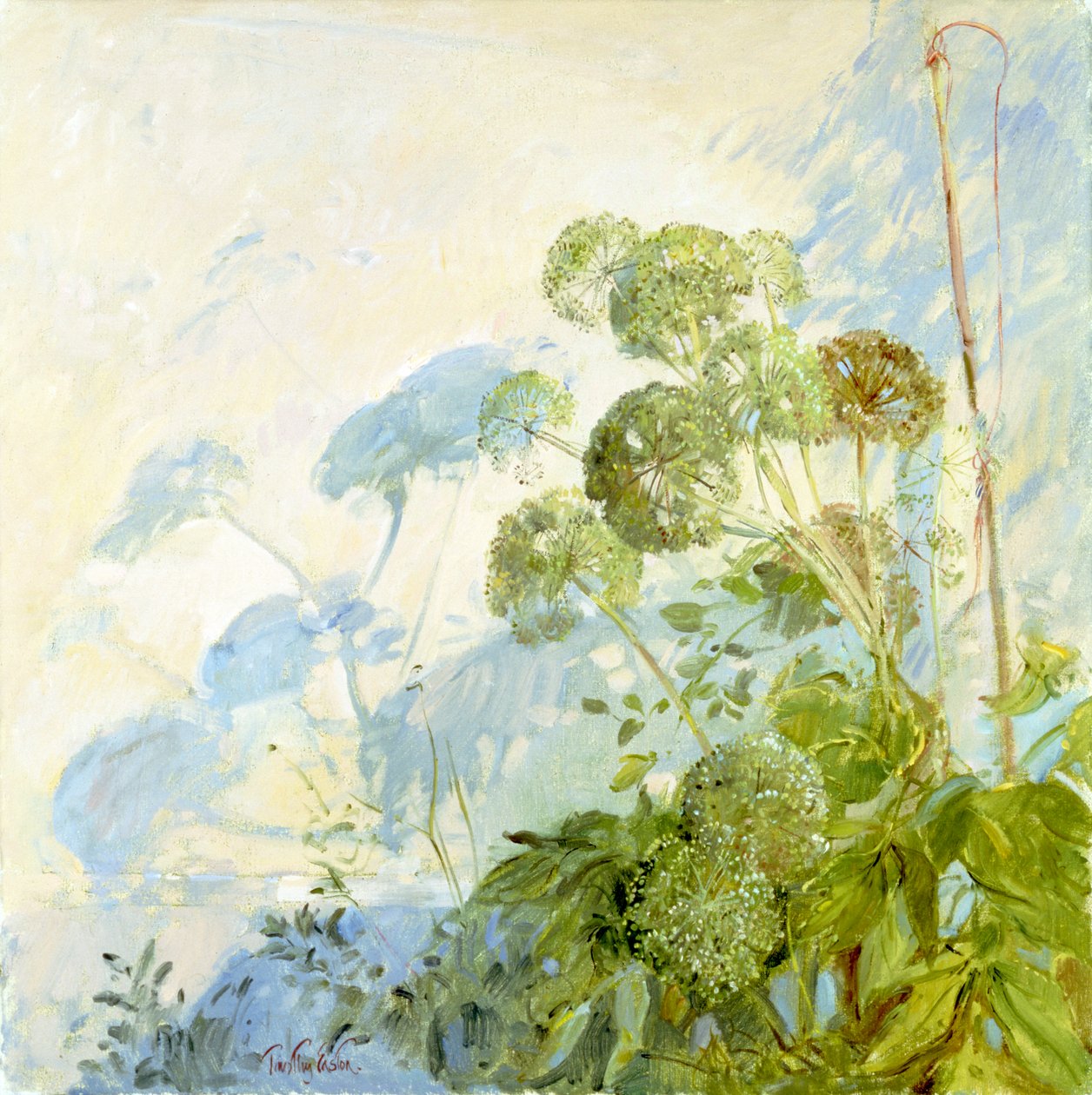 Cienie Angeliki autorstwa Timothy Easton