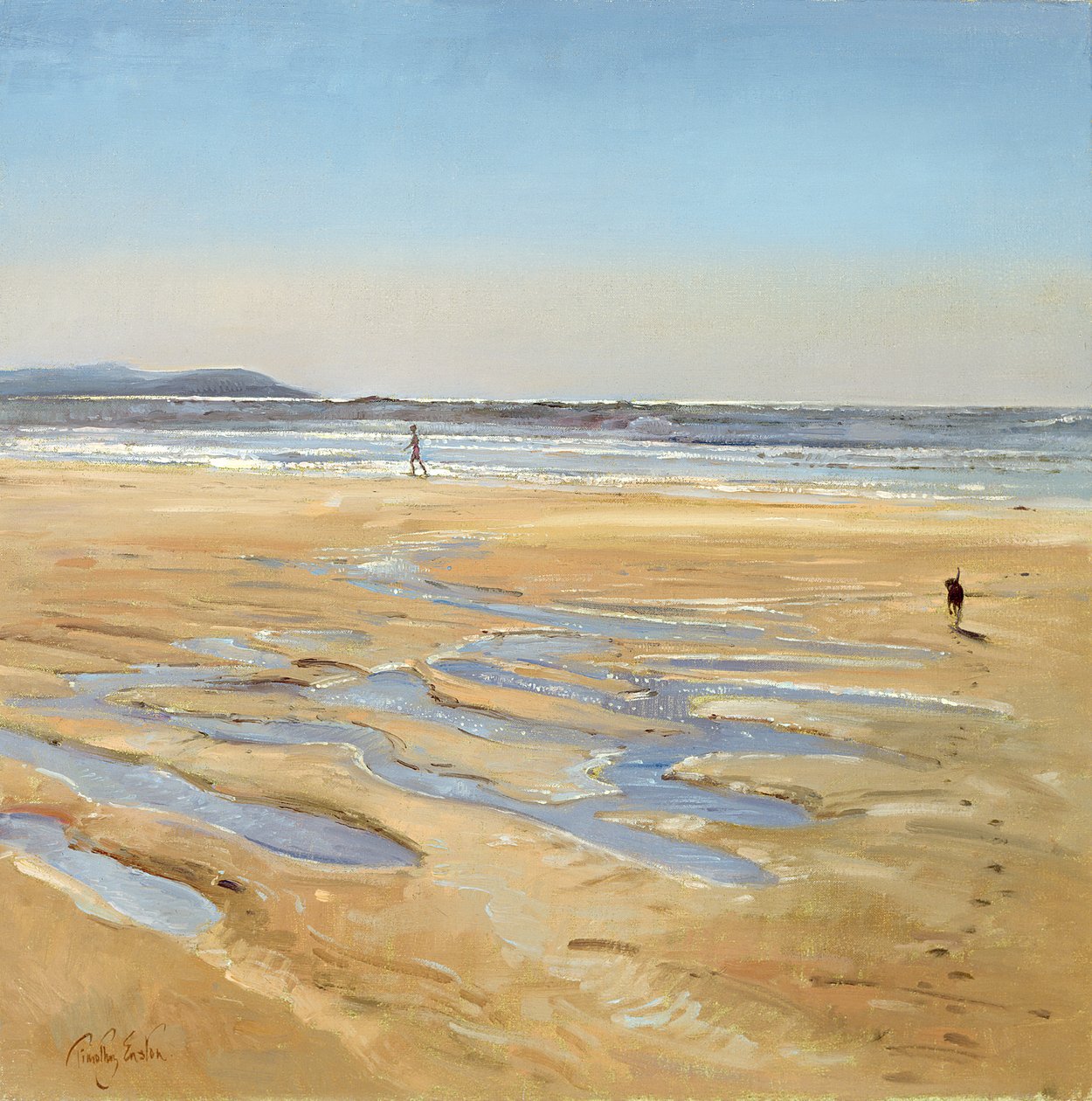 Wózki plażowe autorstwa Timothy Easton