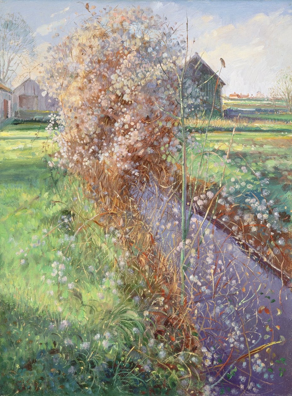 Brodaty krzew autorstwa Timothy Easton