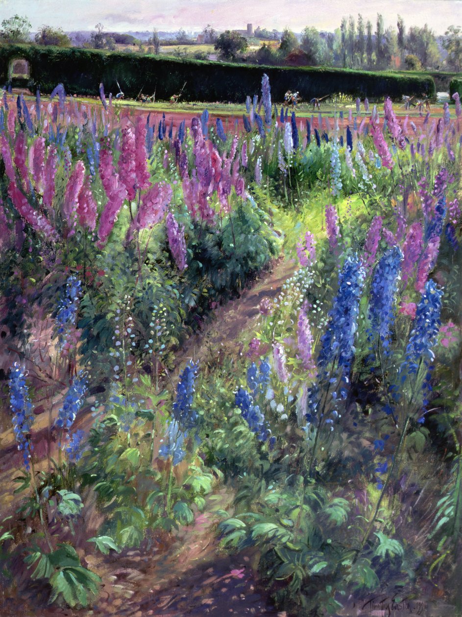 Delphinium Field i Hoers, 1991 autorstwa Timothy Easton