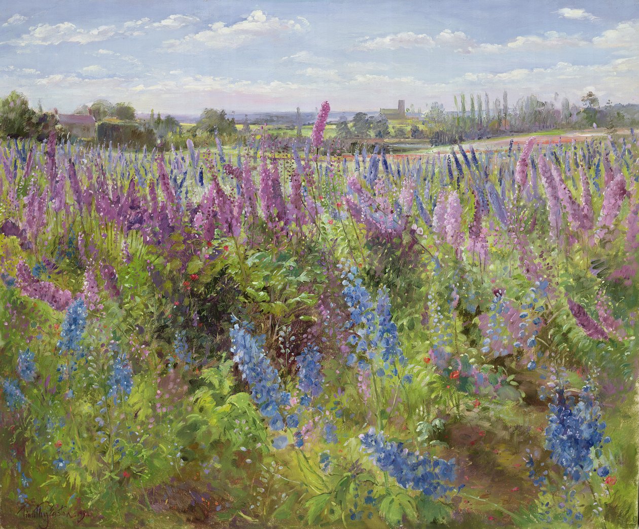 Delphiniums i Maki, 1991 autorstwa Timothy Easton