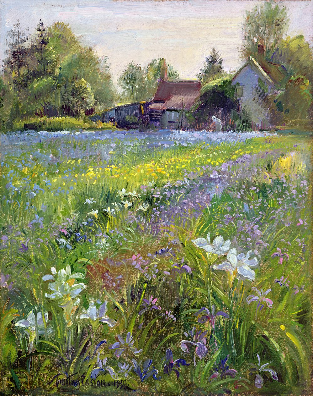 Irysy karłowate i domek, 1993 autorstwa Timothy Easton