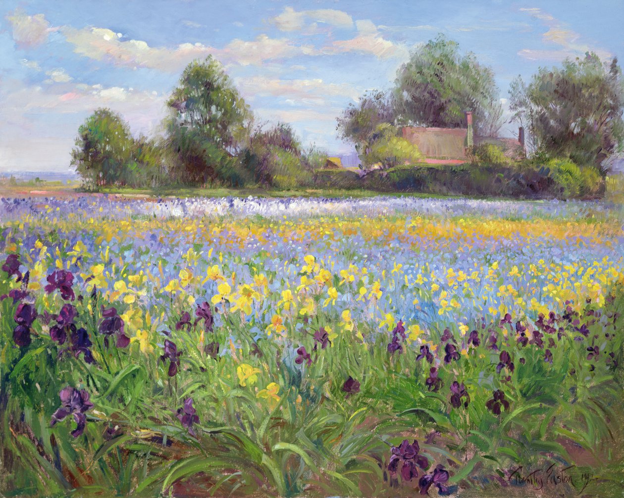 Zagroda i Iris Field, 1992 autorstwa Timothy Easton